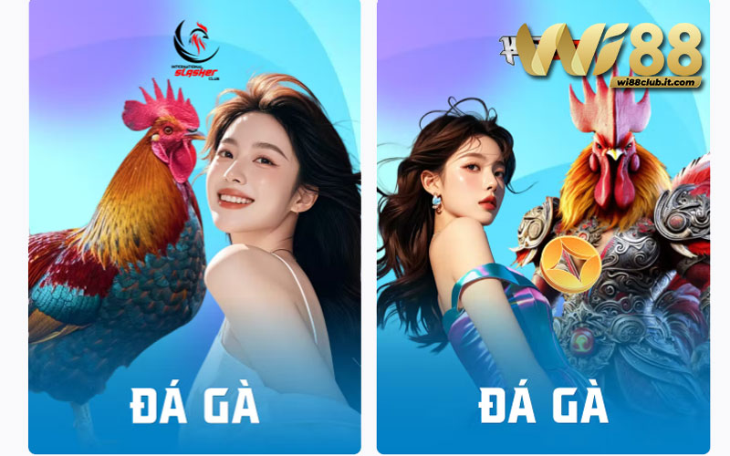 Những loại hình đá gà WI88 đang có